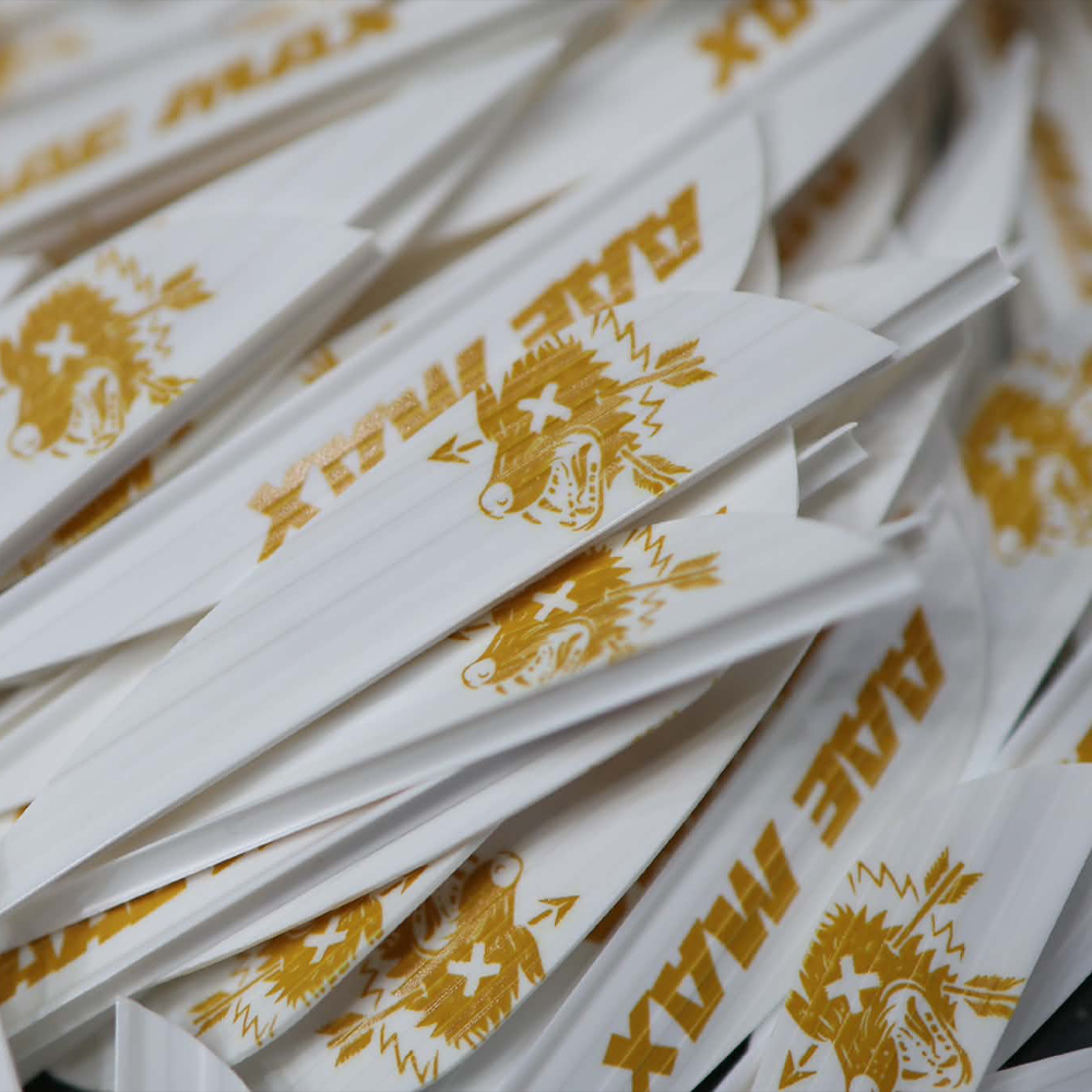 AAE x BOWTIQUE GOLD INK MAX STEALTH VANES
